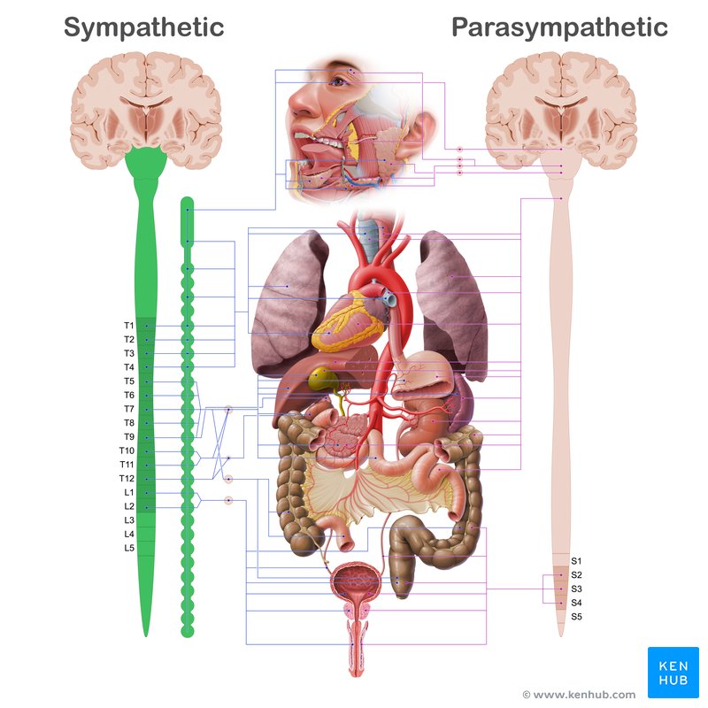 <p>Sympathisch ZS</p>