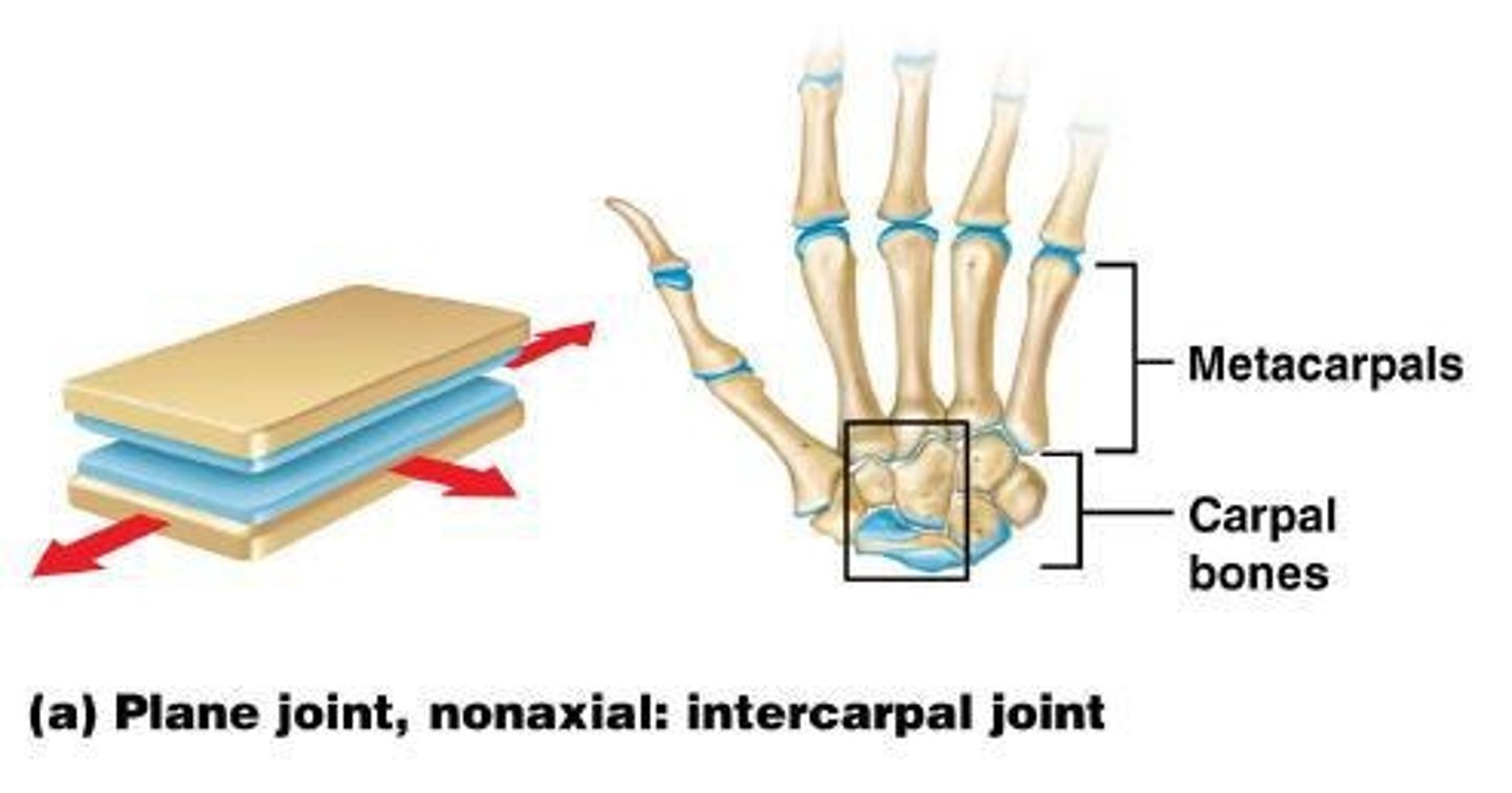 <p>gliding joints that allow short gliding movements, nonaxial</p>