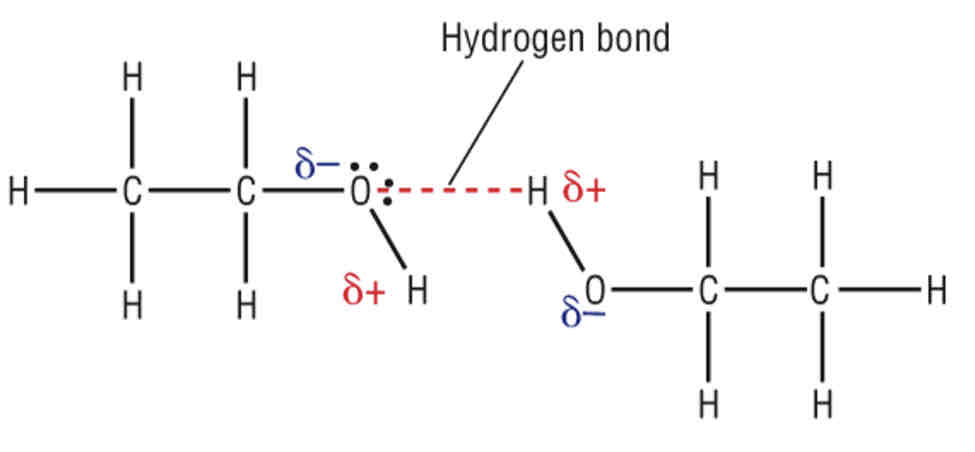 <ul><li><p>Strong dipole-dipole interactions</p></li><li><p>Between the highly polarised O-H bond + lone pairs of electrons on oxygen</p></li></ul>