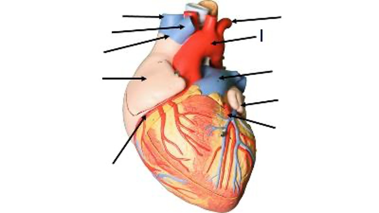 <p>What is this?</p>