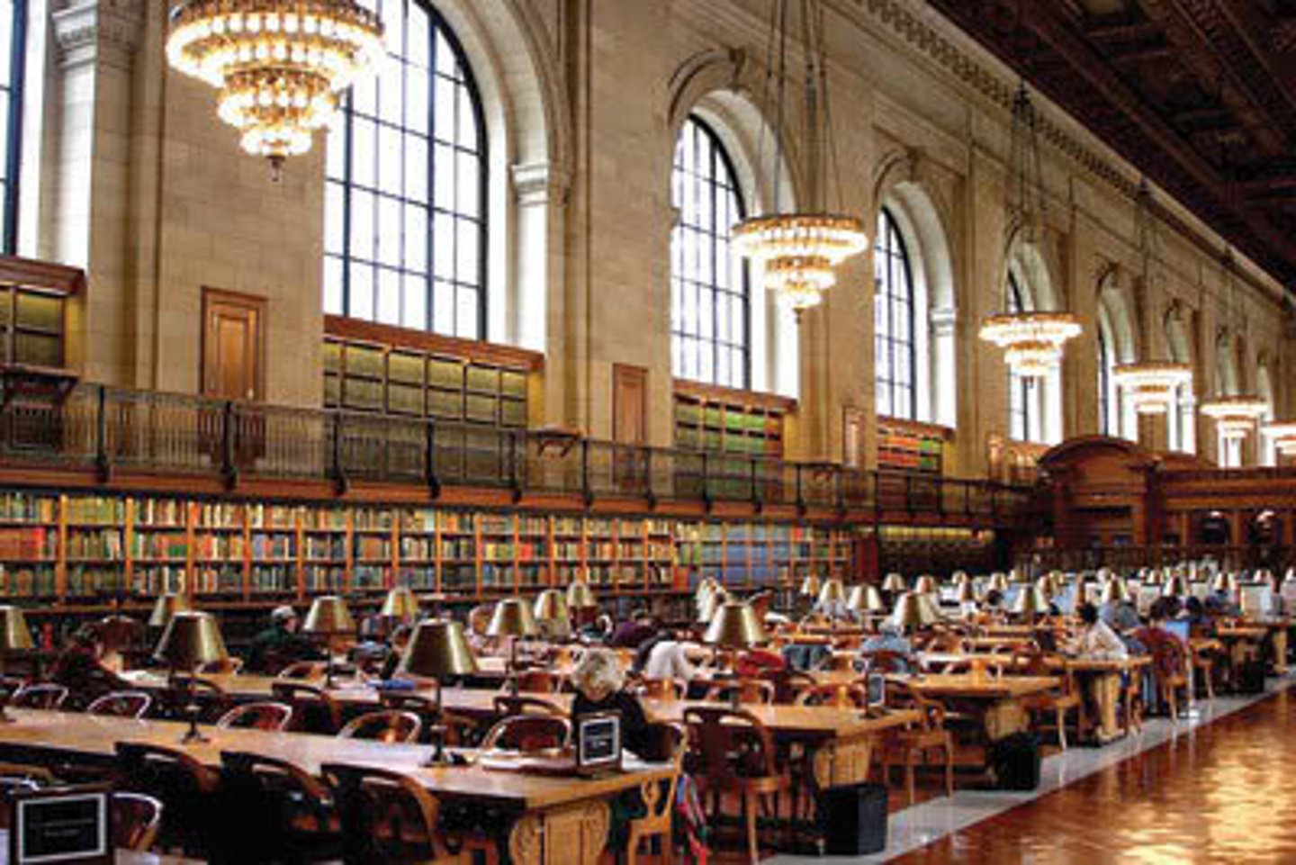 <p>library</p>