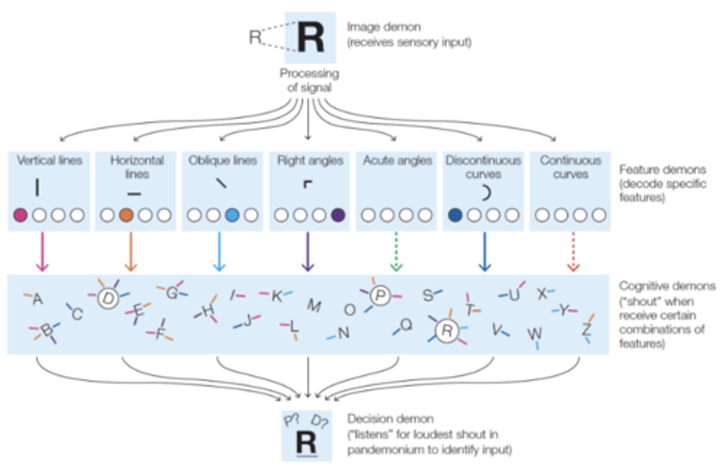 <p>Four-stage bottom-up, feedforward model for visual pattern recognition.</p><p>Stages represent discrete steps in a serial, hierarchical processing stream.</p><p>Highlights how complex visual input can be processed through simpler sequential subtasks.</p>