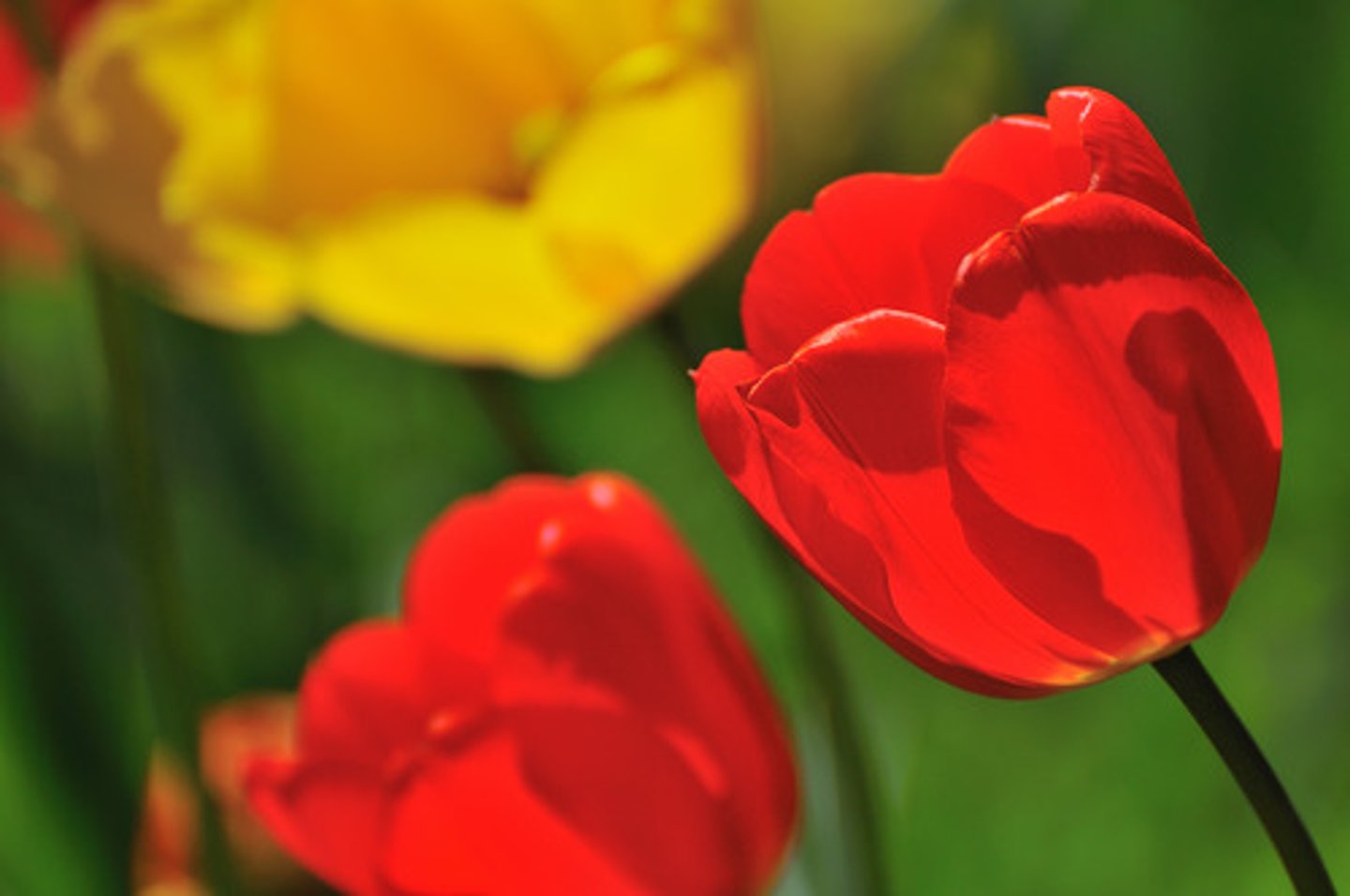 <p>May</p>
