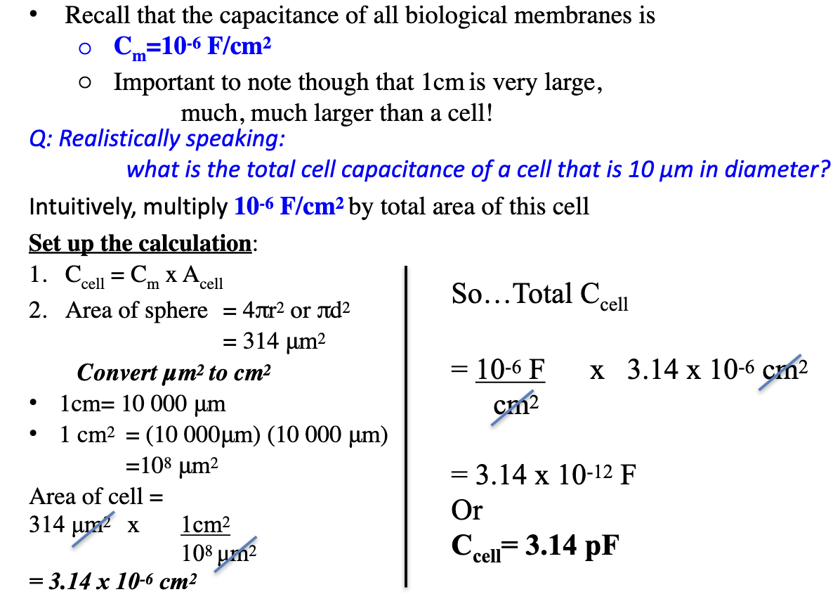 <ol><li><p>Main Equation: <strong>C<sub>cell</sub>&nbsp;= C<sub>m</sub>&nbsp;x<sub>&nbsp;</sub>A<sub>cell</sub></strong></p></li><li><p>Assume Cells are Spherical:</p><ul><li><p>Area of sphere: 4πr<sup>2</sup> or <strong><u>πd²</u></strong> = 314 μm² = Area of cell</p></li><li><p>Convert μm² → cm²&nbsp;</p></li><li><p>1 cm = 10 000&nbsp;μm&nbsp;→ 1 cm² = 10⁸ μm²</p></li><li><p>314 μm² ÷ 10⁸ = 3.14 × 10⁻⁶ cm²</p></li></ul></li></ol><ol start="3"><li><p>Plug into Equation:&nbsp;</p><ul><li><p>C<sub>cell</sub> = (10⁻⁶ F/cm²) × (3.14 × 10⁻⁶ cm²) = 3.14 × 10⁻¹² F or = <strong><mark data-color="#ef8c8c" style="background-color: rgb(239, 140, 140); color: inherit;">3.14 pF</mark></strong></p></li><li><p>C<sub>m</sub> = 10⁻⁶ F/cm² → biological membrane</p></li></ul></li></ol><p></p>