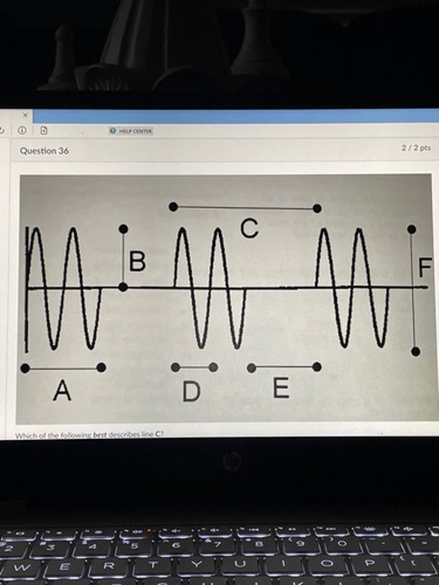 <p>Which of the following best describes line C?</p>