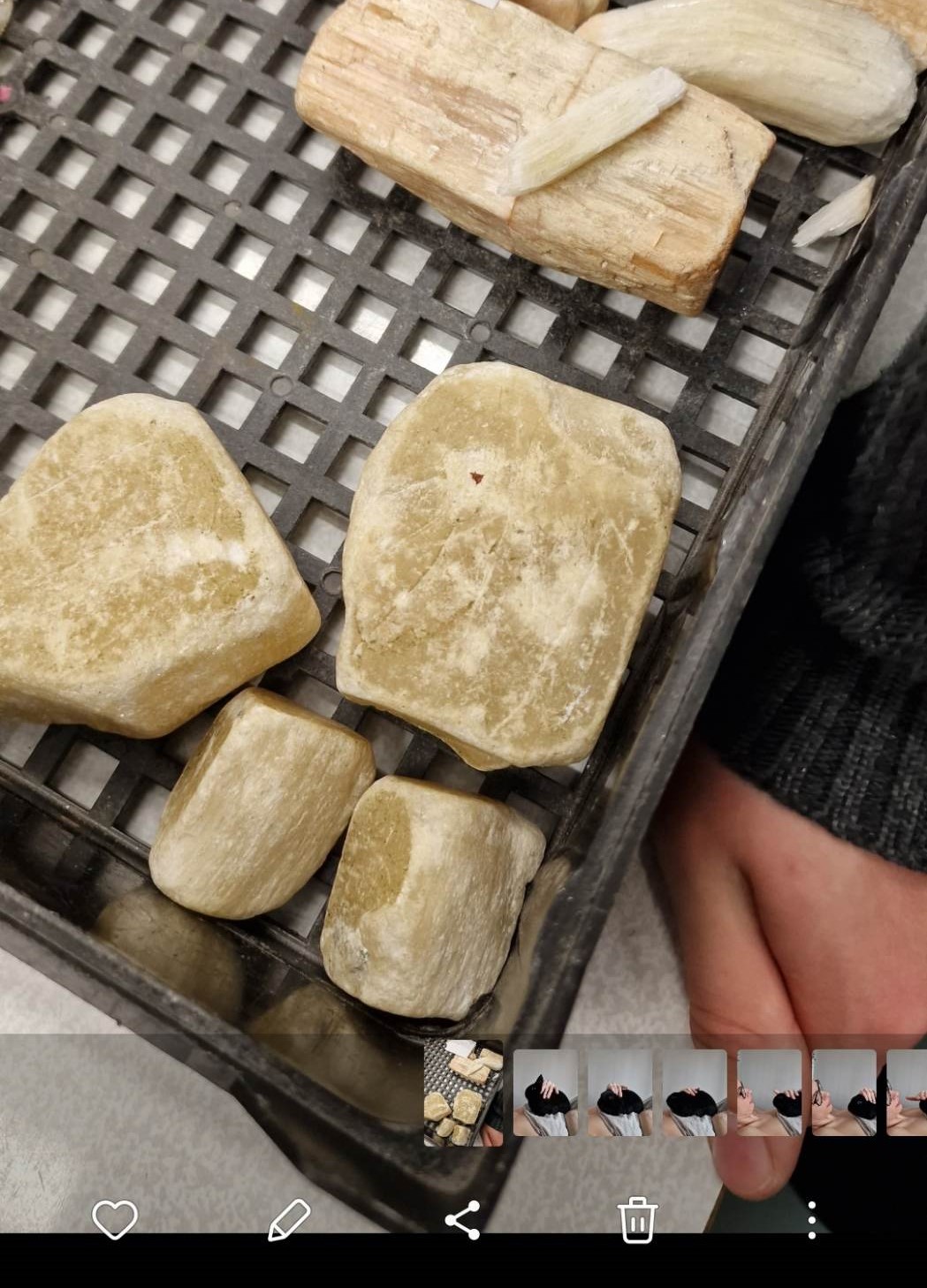 knowt flashcard image