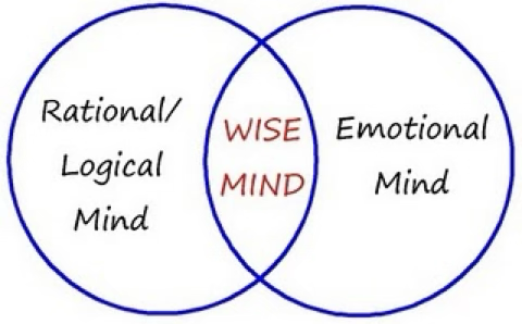 <p>A form of CBT</p><p>Developed by Marsha Linehan, PhD. In the 1980’s</p><p>Primarily used for personality disorders (Borderline) that include self-injurious and suicidal behaviors. (Ineffective coping skills)</p><p>Based on the belief that the primary problem for this client is emotional dysregulation.</p><p>More effective treatment for personality disorders than medication.</p><p>Gradual behavior changes</p><p>Provides acceptance and validation for clients</p><p><strong>MODES OF TREATMENT&nbsp; (Is a year long therapy)</strong></p><ul><li><p>Group skills training (weekly for up to 1 year)</p></li><li><p>Individual psychotherapy</p></li><li><p>Telephone contact</p></li><li><p>Therapist consultation/team meeting</p></li></ul><p></p>