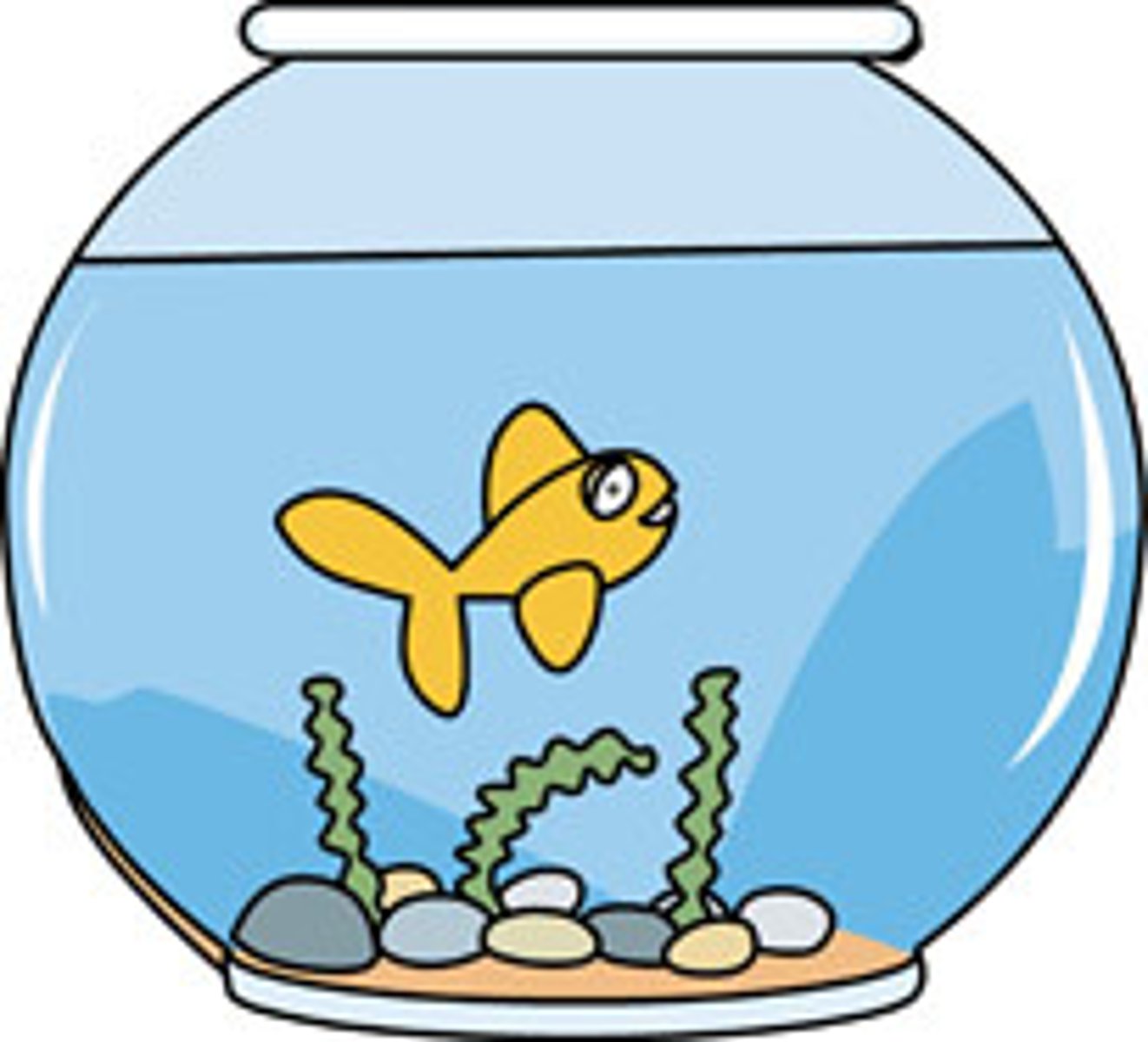 <p>the fish</p>