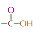 <p>CARBOXYLIC ACID</p>