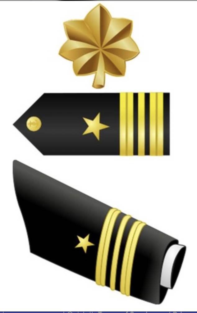 <p>Lieutenant Commander</p>