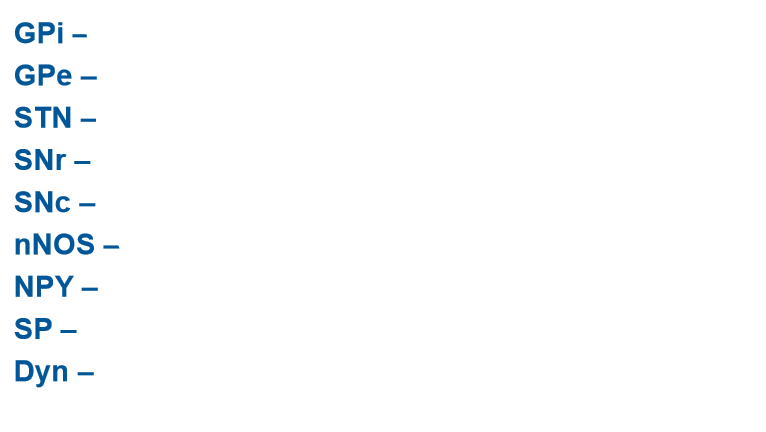 <p>Abbreviations </p><p></p>