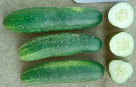 <p>Cucumber American</p>