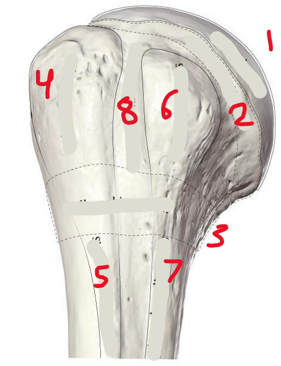 <p>1</p>