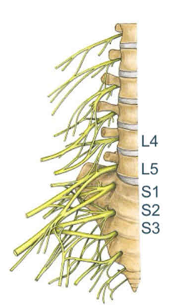<p>Oorsprong</p>