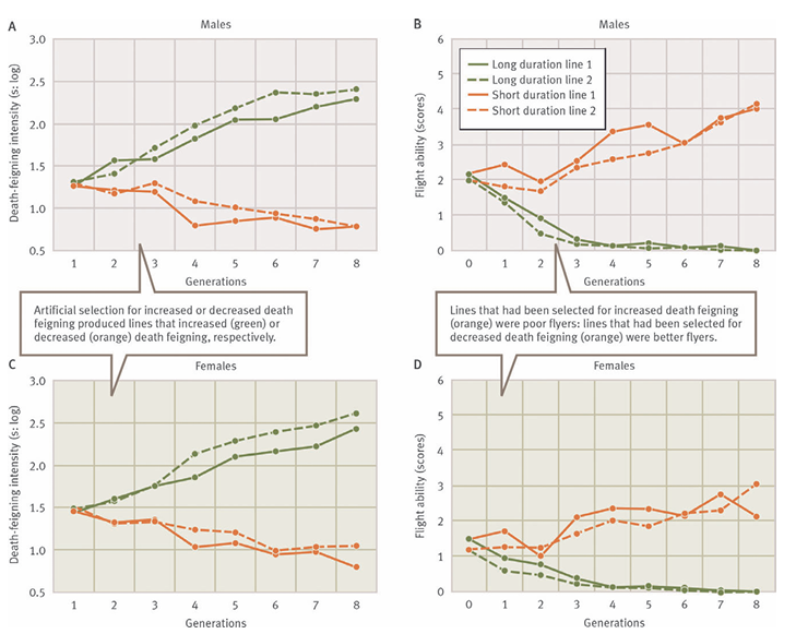 <p>What’s the main message?</p>