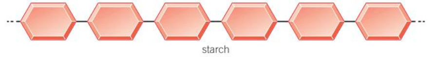 <p>Carbs that are made up of long chains of simple sugar units bonded together.</p><p>For example, starch and cellulose.</p>