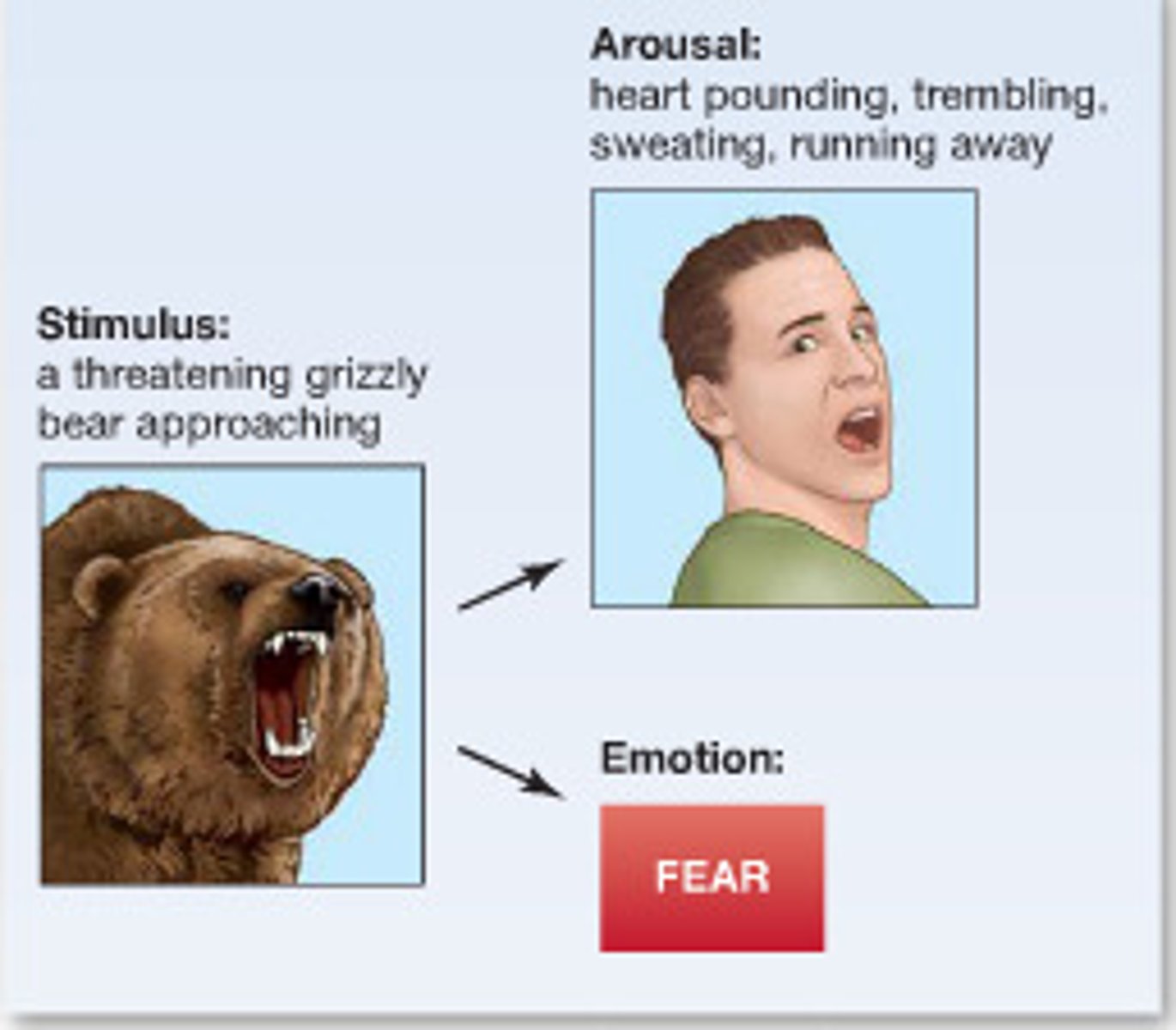 <p>theory in which the physiological reaction and the emotion are assumed to occur at the same time. I am shaking and afraid at the same time</p>