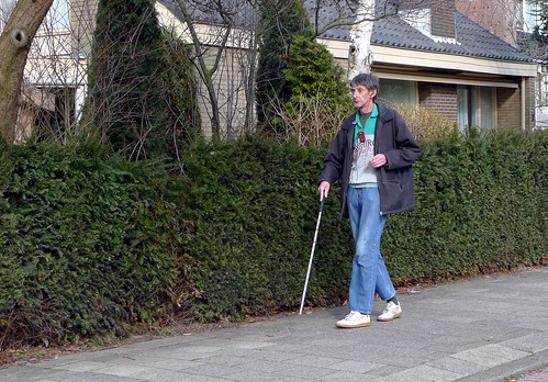 slechtzienden