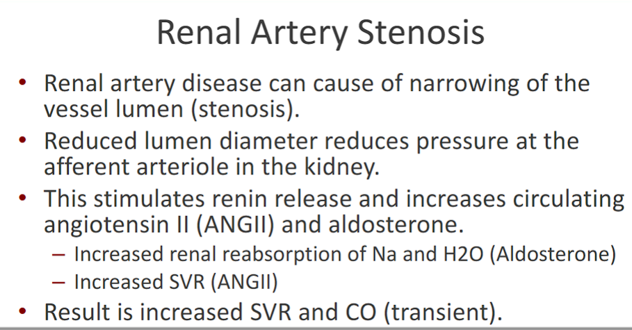 <p>-narrowing of the AFFERENT renal artery </p><p>-Reduced lumen diameter reduces pressure at the afferent arteriole in the kidney</p><p> the reduced pressure due to the narrowing: stimulates renin release and increases circulating <strong>angiotensin II (ANGII) </strong>and <strong>aldosterone.</strong></p><p>– Increased renal reabsorption of Na and H2O (Aldosterone)</p><p>– Increased SVR (ANGII)</p><p>• Result is increased SVR and CO (<u>transient</u>)</p>