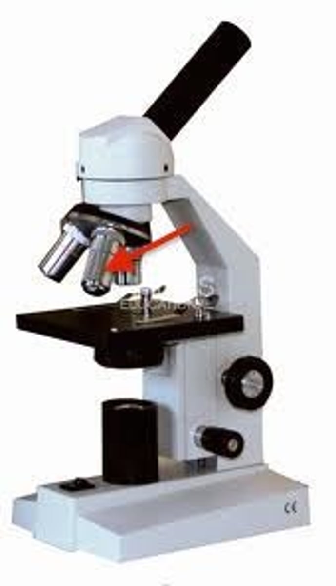<p>magnification 100x. Used in conjunction with immersion oil to view objects with the greatest magnification.</p>