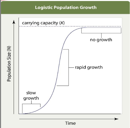 <p>Limited resources, slow initial growth, rapid growth, then stabilizing population as the carrying capacity of the population is reached</p>