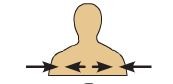 between a more medial and a more lateral structure