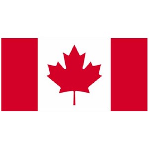 <p><strong><span>[mɪdl] n.</span> </strong></p><p>The <strong>middle</strong> of something is the center or halfway point.Giữa</p><p><strong><em><span>→</span></em></strong><em> The Canadian flag has a maple leaf in the </em><strong><em>middle </em></strong><em>of it.</em></p>