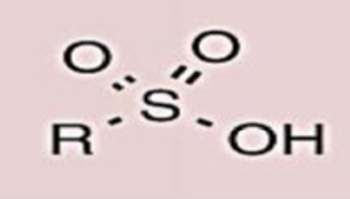 <p>Conj. Acid</p>
