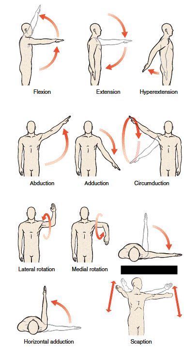 Glenohumeral joint 

what is this?