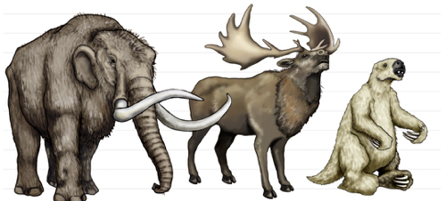 <ul><li><p>Similarities between island/mainland species and living/fossil species could not be a coincidence</p></li><li><p>Overtime species that colonize new habitats gradually change to form new, but similar, species</p></li><li><p>Only the best-adapted individuals can reproduce, thus over time species become better adapted to the environment</p></li><li><p>Hesitated to publish</p></li><li><p>Darwin sat on his idea for decades because he didn&apos;t know the mechanism for heritability and he had 10 kids</p></li></ul>