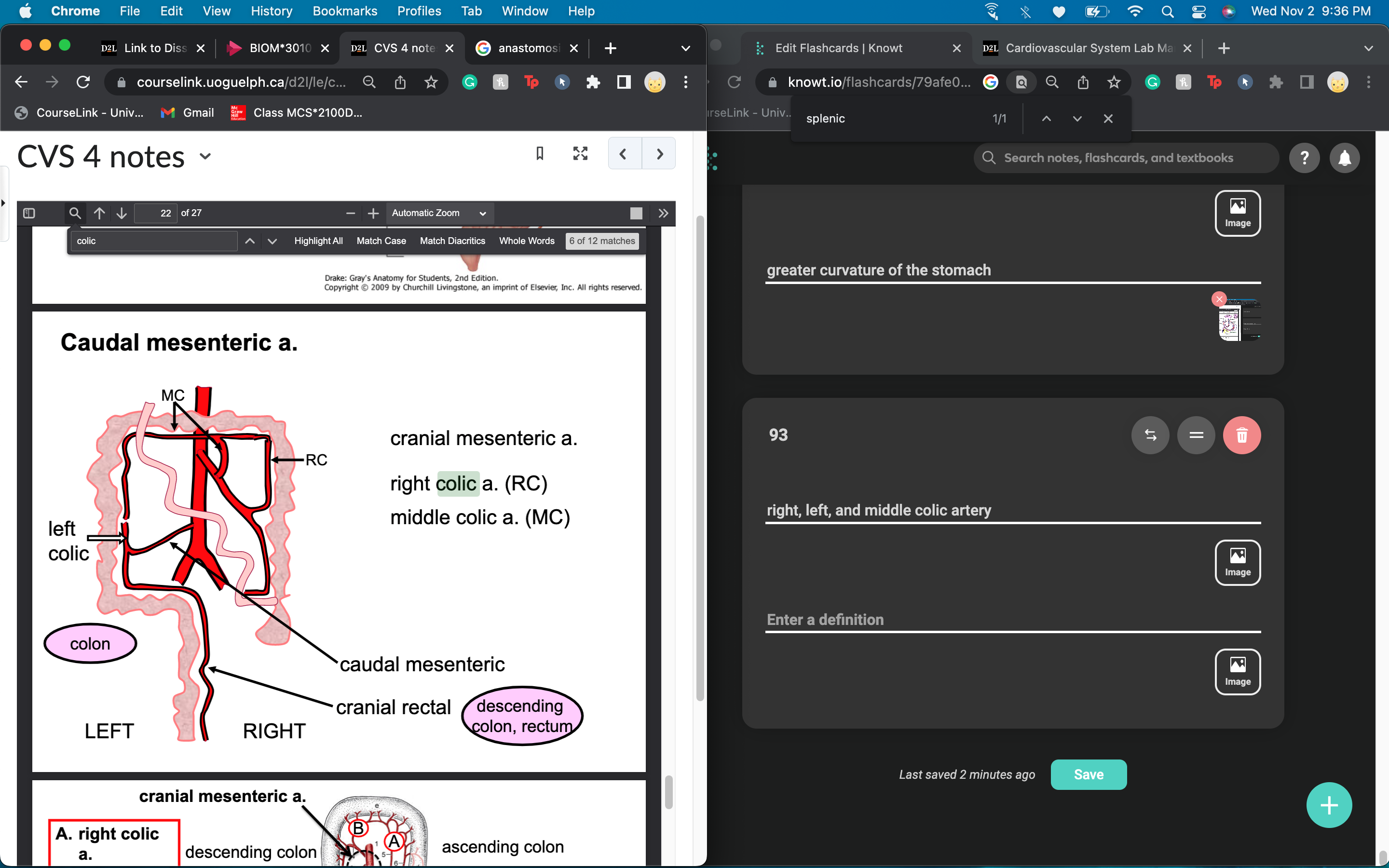 desceding colon and rectum