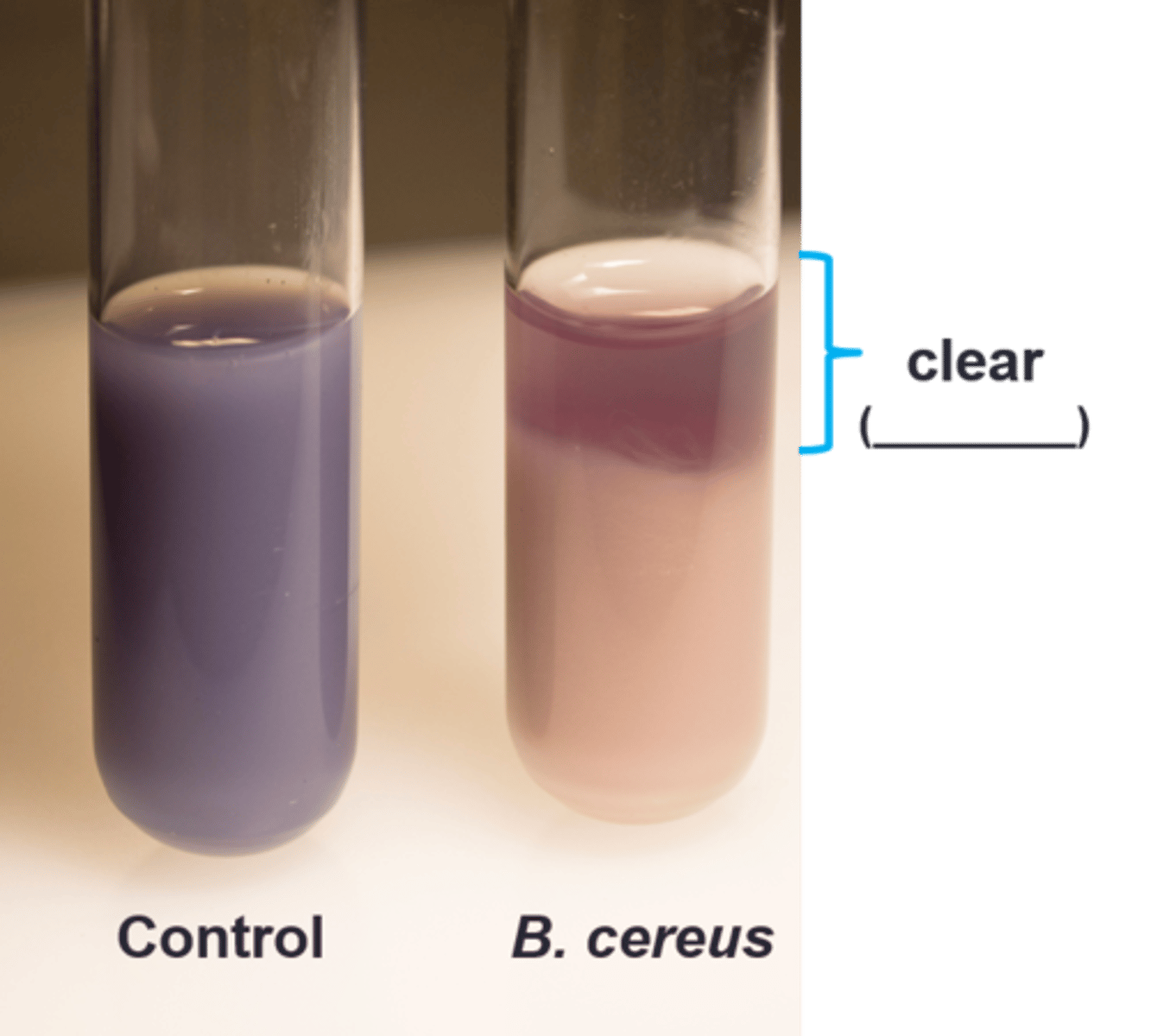 <p>What is happening to make the medium clear:</p>