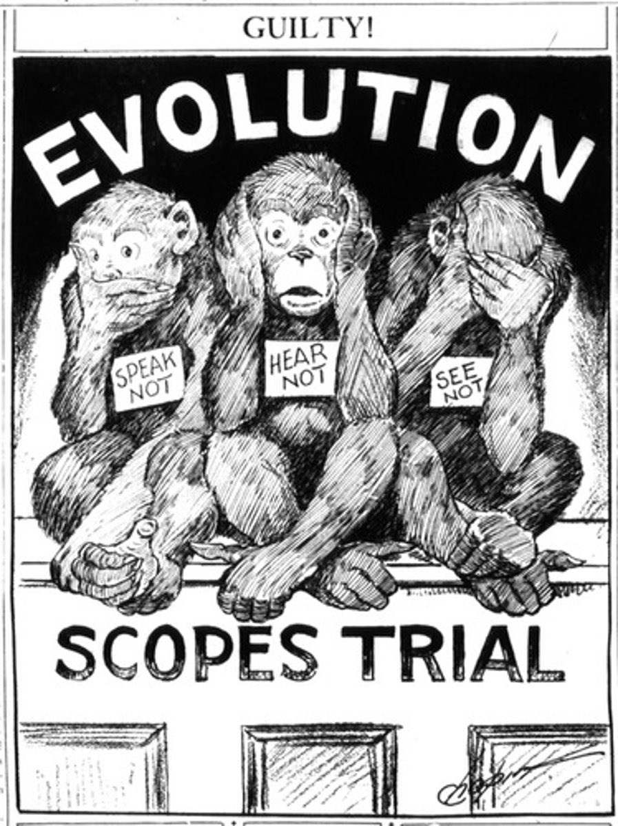 <p>Also known as the Scopes Monkey Trial;</p><p>1925 court case argued by Clarence Darrow and William Jennings Bryan in which the issue of teaching evolution in public schools was debated. Highlighted the growing divide between rural (more conservative) and urban (more liberal) interests in the United States.</p>