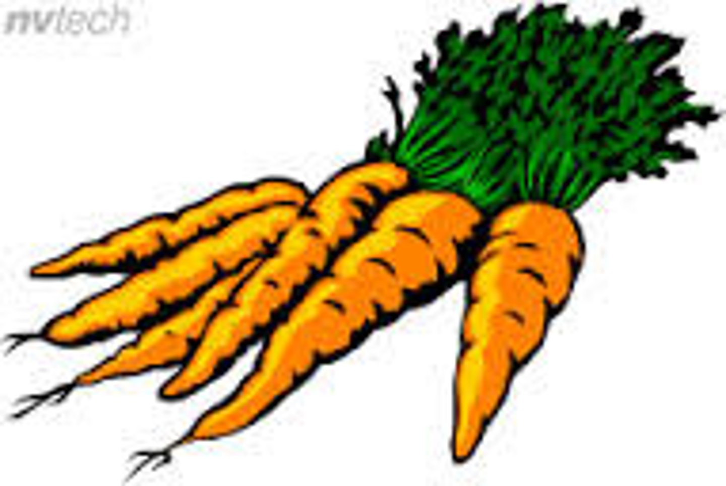 <p>carrots</p>