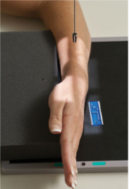<p>Identify patient’s position &amp; projection</p>