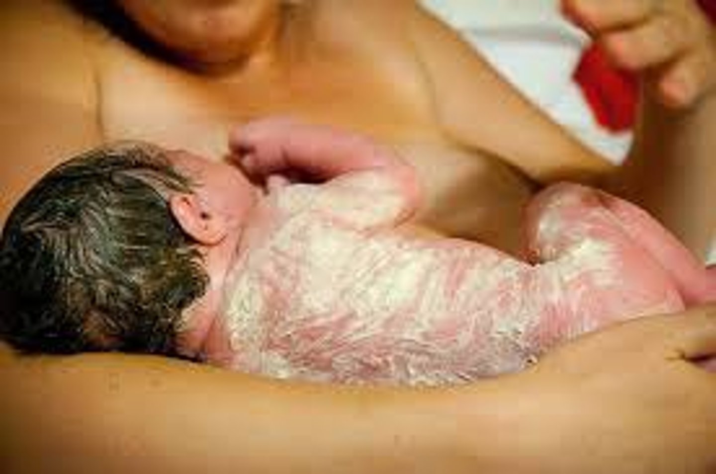 <p>white, cheesy material composed of sebum and desquamated epithelial cells covers body at birth</p>