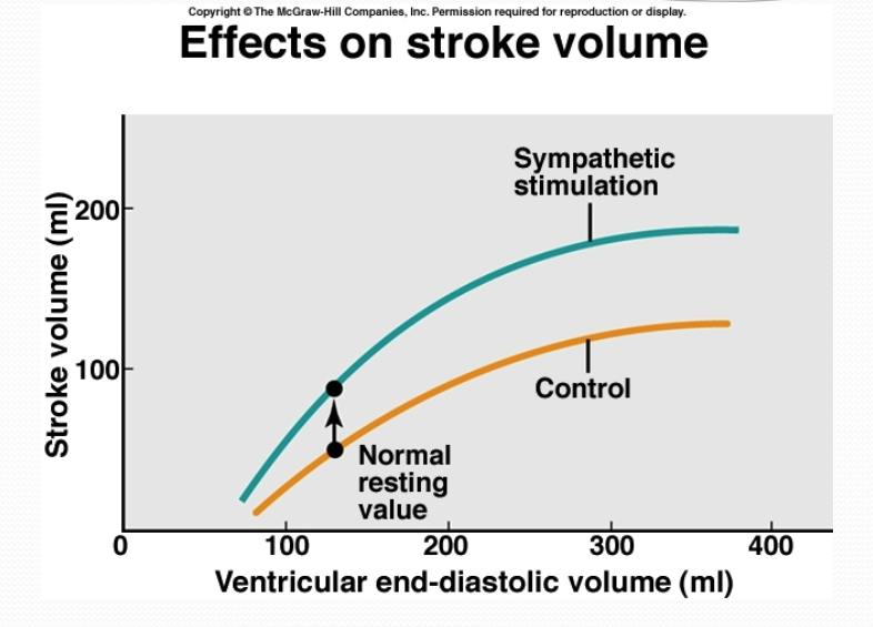 <p>greater contraction for same end diastolic volume</p><p>for any amount of blood coming back as shown by the yellow line, you pump out more, as shown by the green line</p>