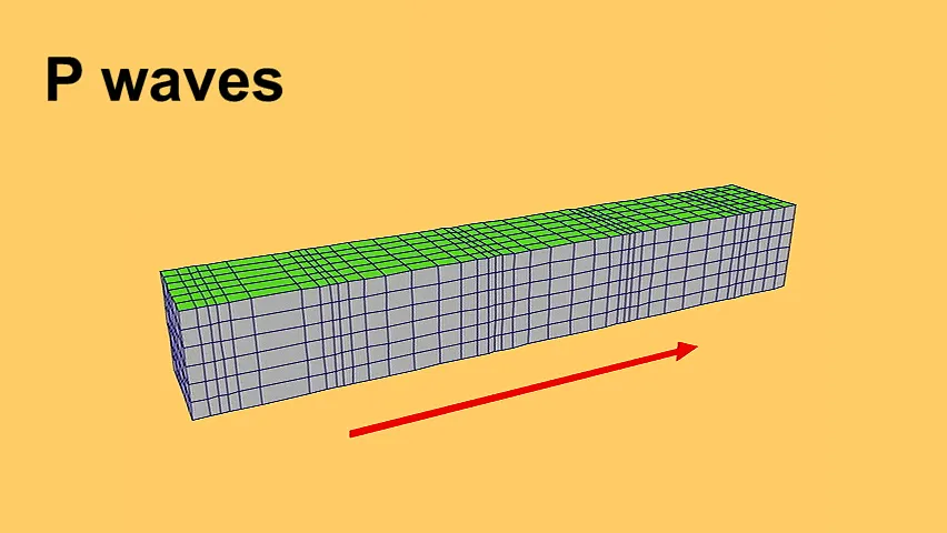 <p>Longitudinal/compression waves that travel through gas, liquid, and solid, fastest waves.</p>