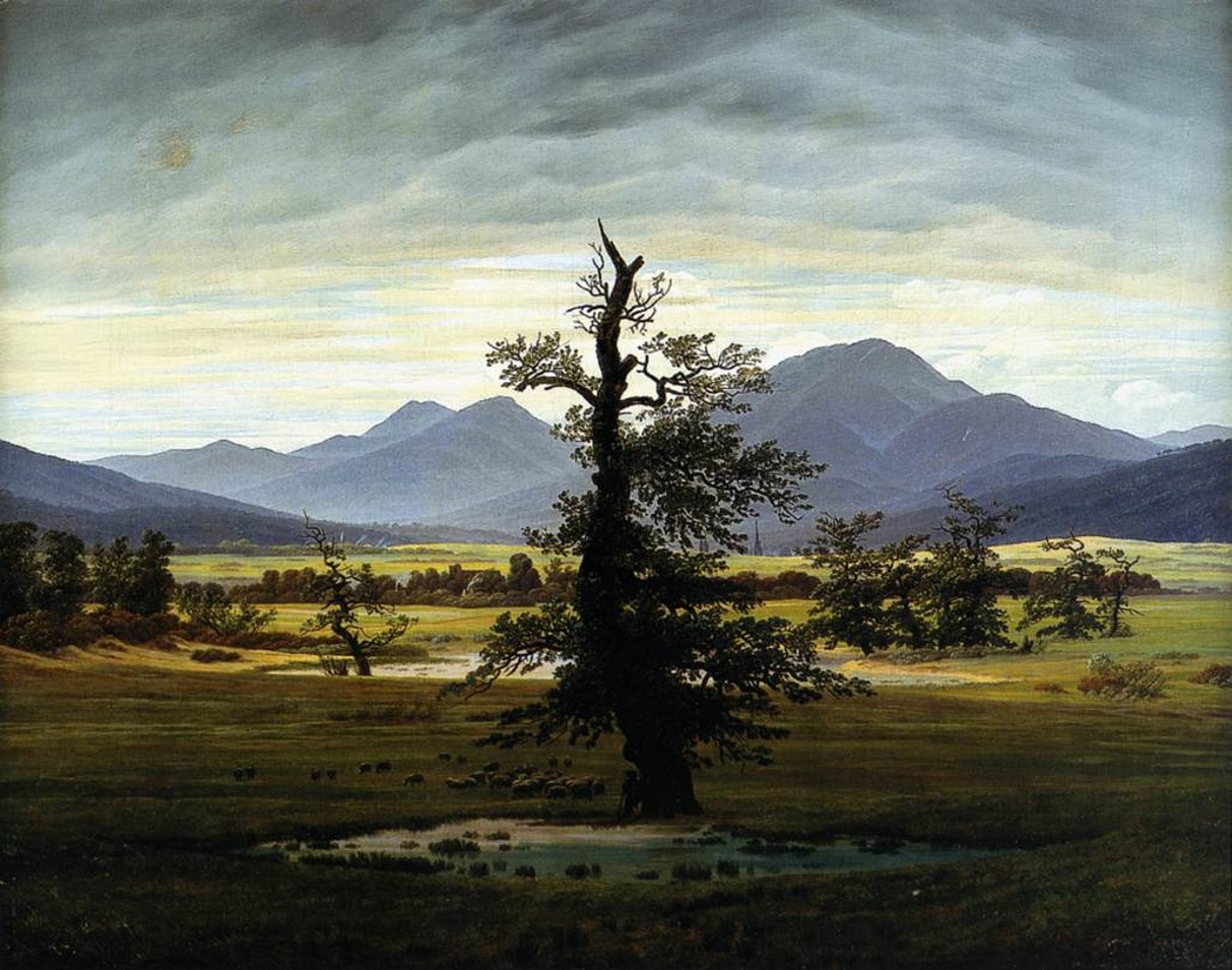 <p>The Lone Tree</p>
