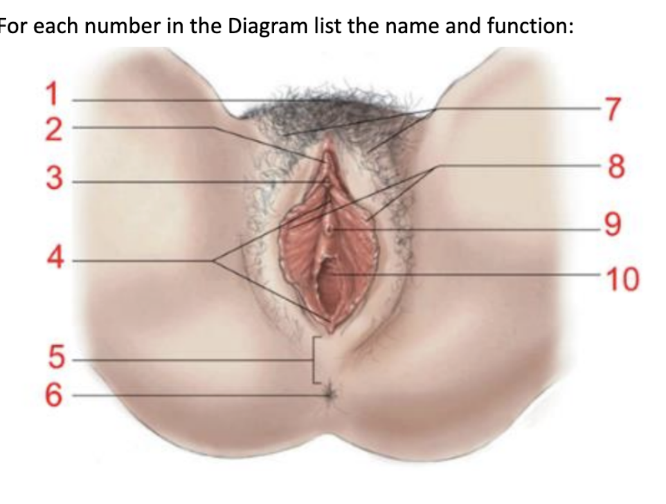 <p>List the name and function for #10</p>