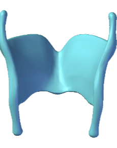 term image