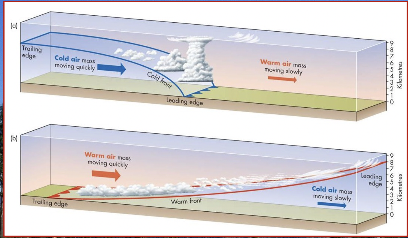 A front marks the boundary between two air masses.

\
The name of the front describes the type of air __**behind**__ that front.

* at a cold front, dense cold air undercuts warm air 
* at a warm front, the less dense warm air overrides cold air. 

\
**image:** 

blue line = cold front

red line = warm front 