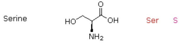 <p>Ser, S</p>