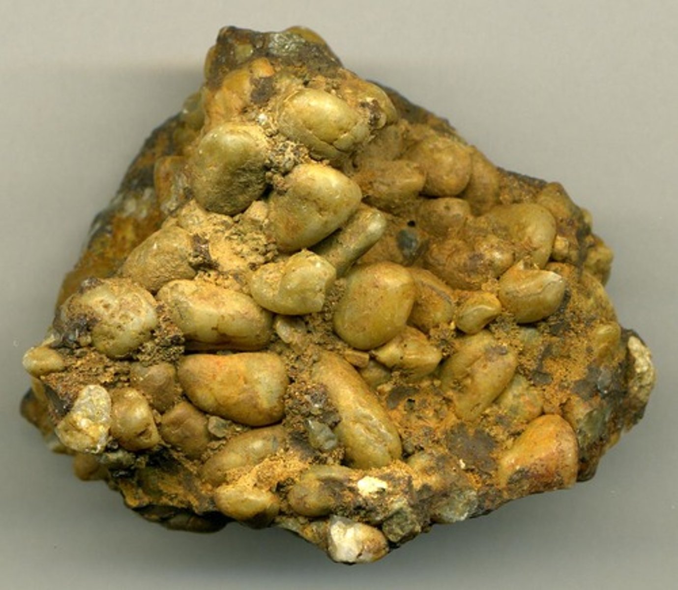 <p>- Sedimentary rock<br>- Clastic<br>- Gravel sized particles, with some silt and sand<br>- Poorly sorted<br>- Subrounded/subangular<br>- Formed in a high energy river</p>