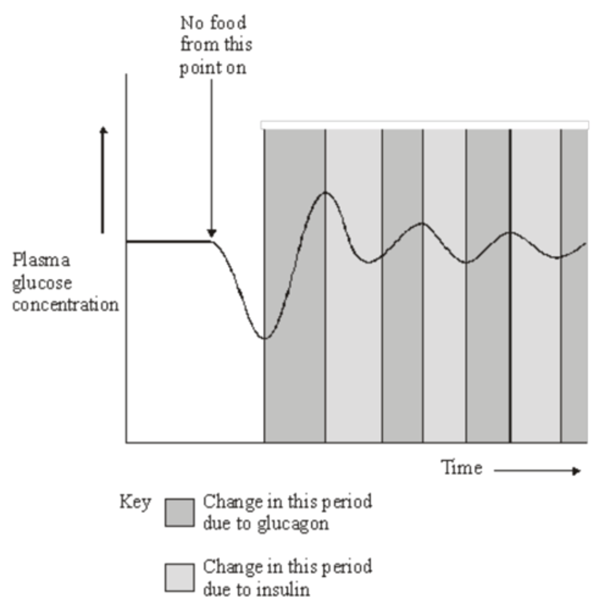 <p>1. Deviation of a value from norm initiates corrective mechanisms; <br>2. fluctuations in plasma glucose concentration detected by hypothalmus / islet cells in pancreas; <br>3. initial decrease, no food given (in plasma glucose) stimulates (increased) secretion of glucagon; <br>4. increases (in plasma glucose) stimulate (increased) secretion of insulin from β cells as secretors; <br>5. correct ref. to interconversion of glycogen / glucose / increased / decreased uptake of glucose by cells (as appropriate) / correct ref to change in membrane permeability;</p>