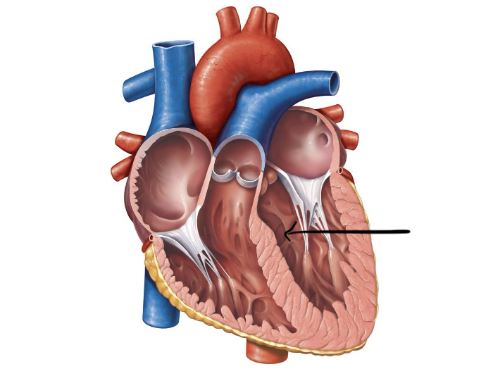 <p>Label and function</p>
