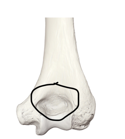 <p>Hoe heet dit deel</p>