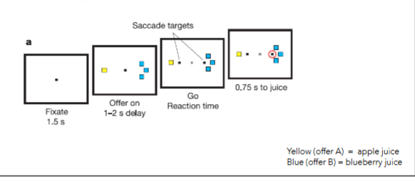 <p>1) monkeys fixate on screen</p><p>2) offer is made (1 yellow block vs 3 blue blocks) </p><p>3) reaction time look to preferred option (saccade)</p><p>4) decision time</p>