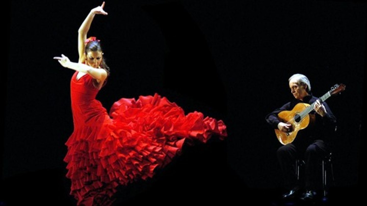 <p>the image shows the essence of flamenco, which is passion, strength, and soul</p>