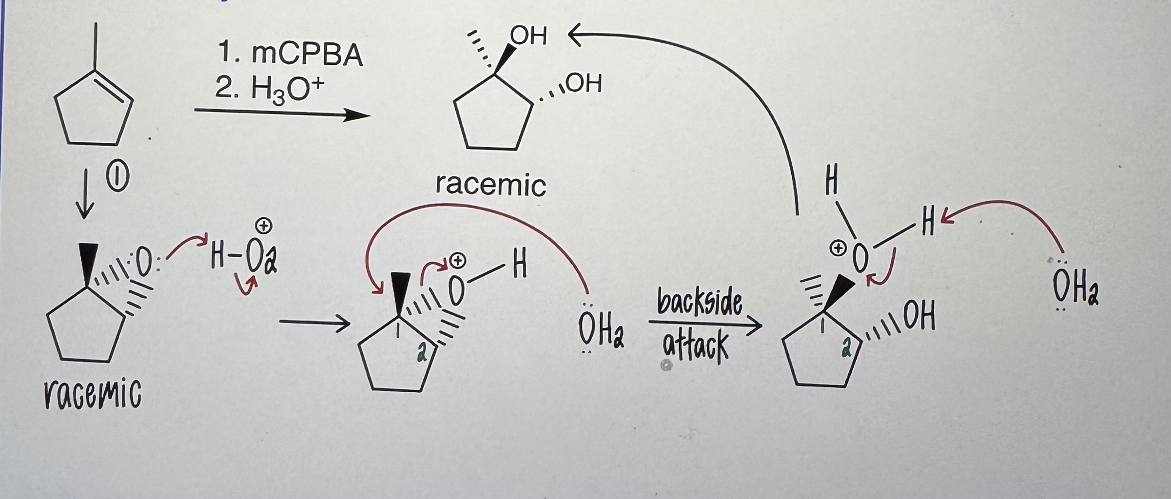 <p>Anti Dihydroxylation</p>
